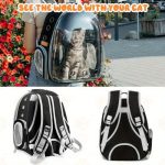 158dc84f13314c5297ef33fbfe447053-goods