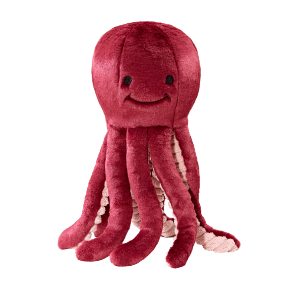 Octopus_009__86622.1574437575