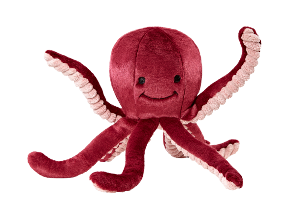 Octopus_021__77218.1578598844